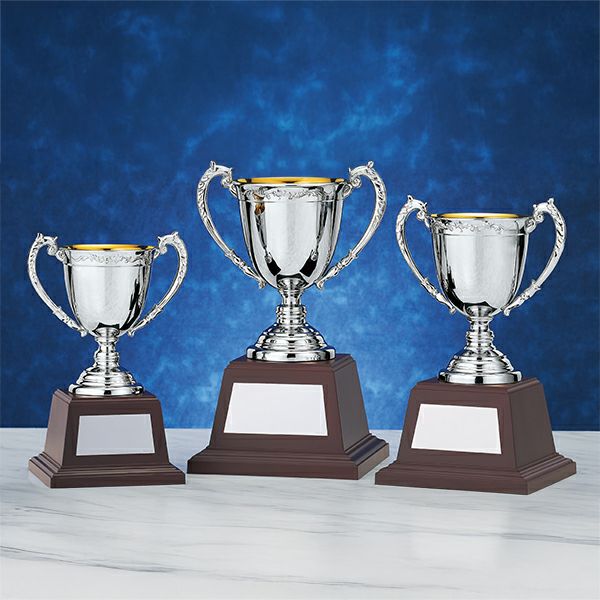 シルバーカップ | 記念品と表彰用品の123トロフィー本店