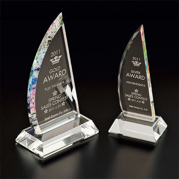 シルバー トロフィー 専用ケース付き シルバー トロフィー 専用ケース付き