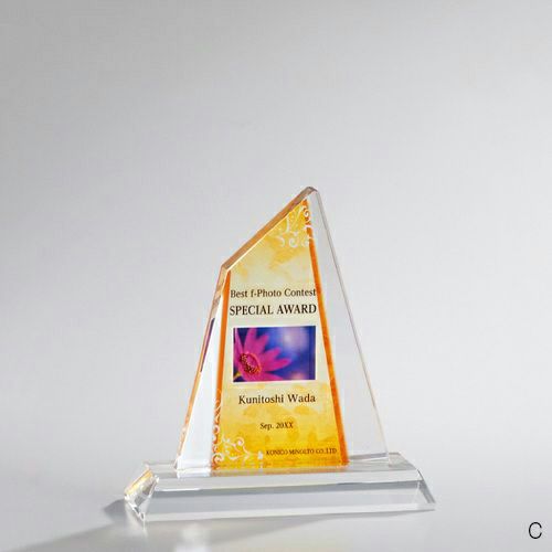 クリスタルトロフィー H95-02C