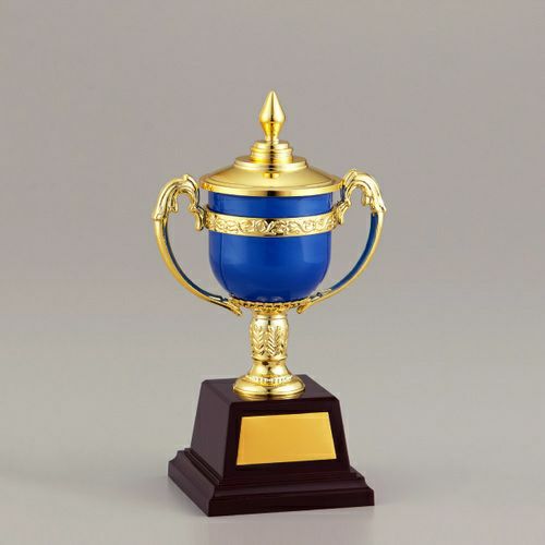 ギリギリ限界パワー　大会優勝賞品 優勝カップ 金属製 ケガキ VOC.170 Bサイズ