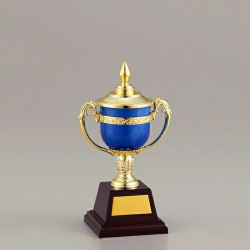 優勝カップバリエーションカップ NK-4758A 高さ290mm 《AGG1》プレート