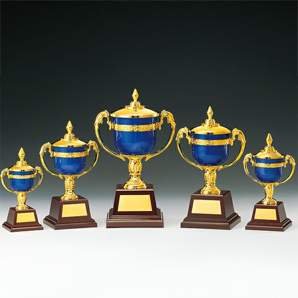 優勝カップバリエーションカップ NK-4758A 高さ290mm 《AGG1》プレート