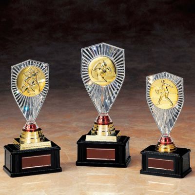 相撲 | 記念品と表彰用品の123トロフィー本店